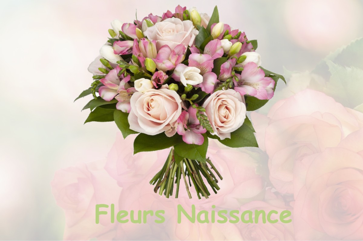 fleurs naissance VOUVRAY-SUR-LOIR