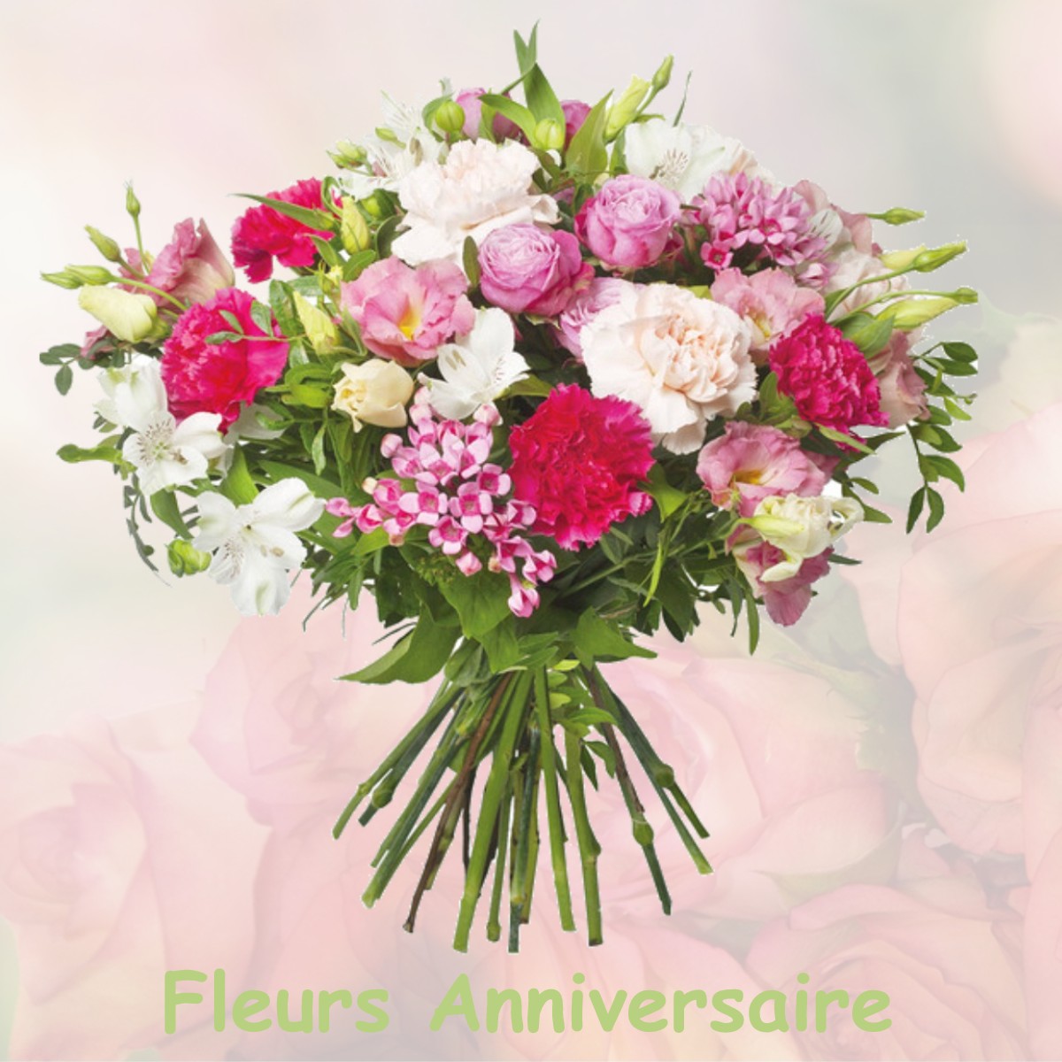 fleurs anniversaire VOUVRAY-SUR-LOIR